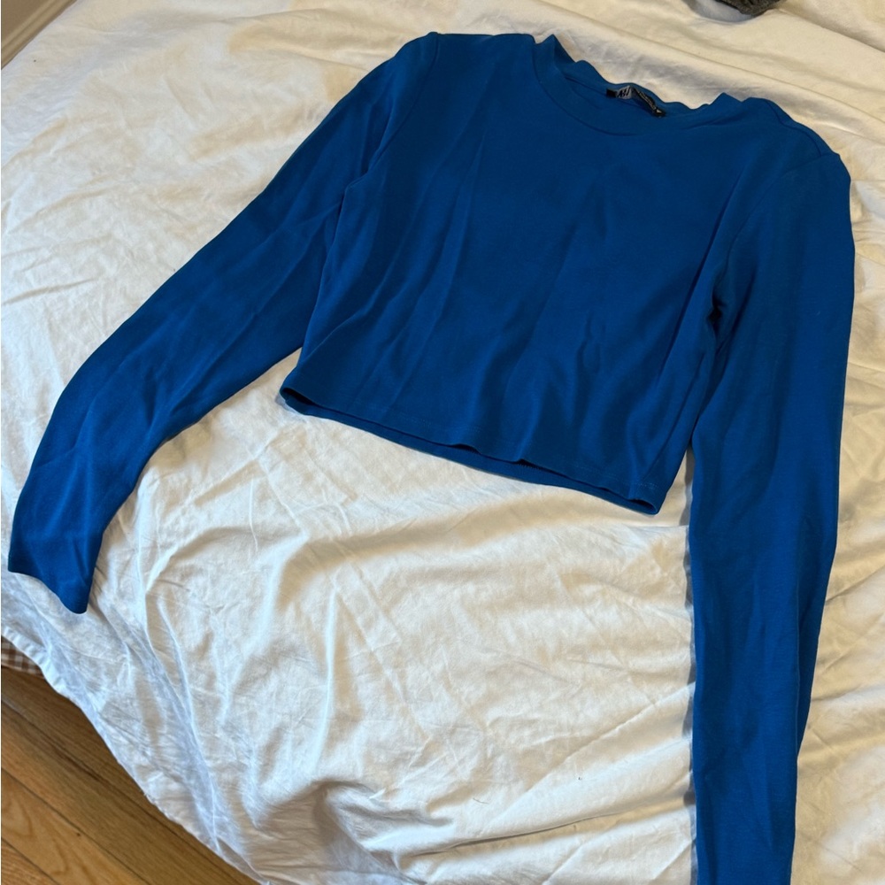 Zara Long Sleeve crop Top